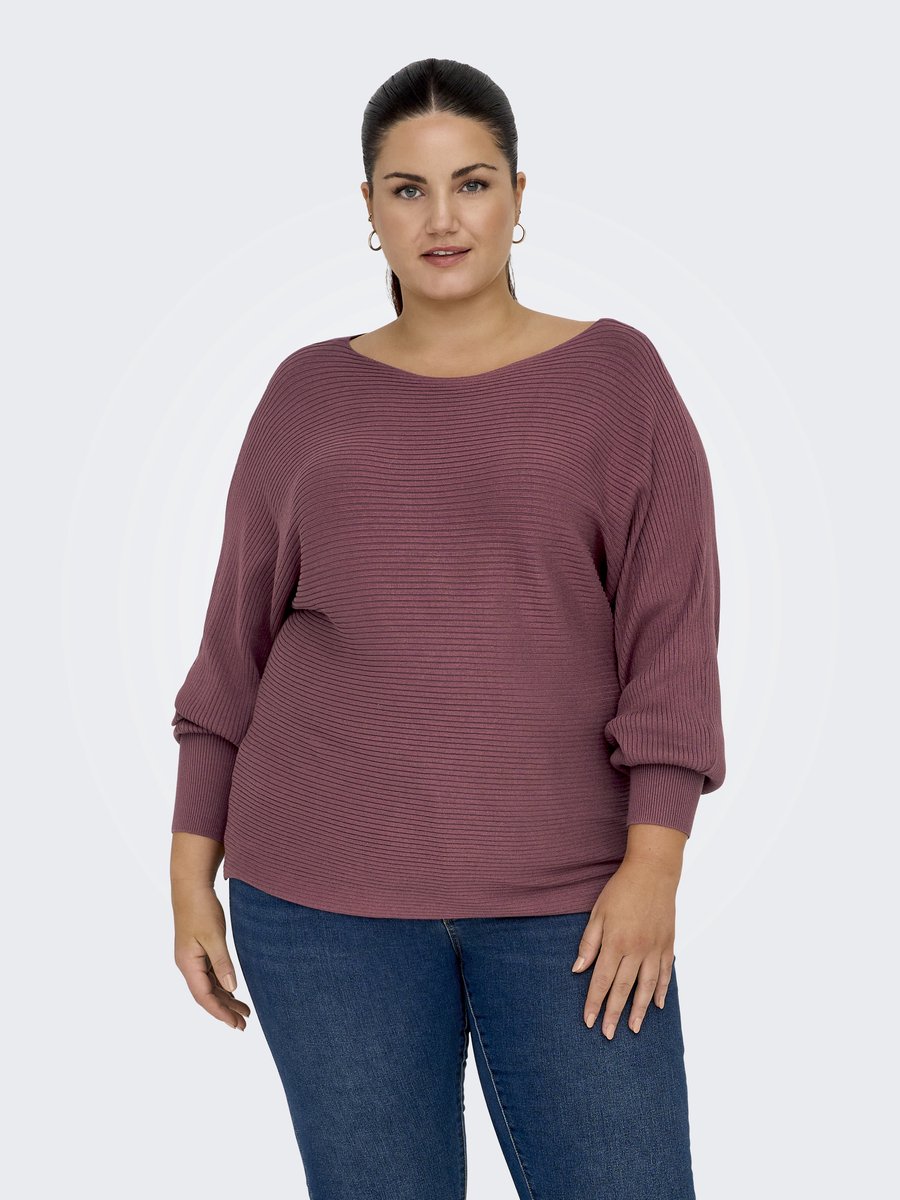 ONLY CARMAKOMA - CARNEW ADALINE LIFE LS PULLOVER KNT NOOS - Dames - Gebreide truien