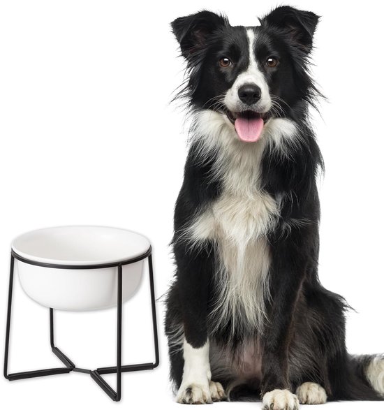 Voerbakken voor de hond, enkel, dubbel, verhoogd, anti-slip