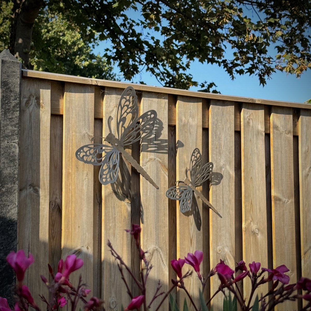 Cortenstaal Libelle Wanddecoratie – Tuindecoratie Libelle L & XL (30 & 44 cm) – Weerbestendig Metalen Dragonfly – Roestkleurig Tuinbeeld