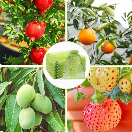 100 pièces - Sachets en organza - 20 x 30 cm - Pochettes à fruits - Sachets de protection - Sachets en filet - Avec cordon de serrage - Vert - Barrière antiparasitaire - Pour plantes, fleurs fruitières, légumes, Snoep, Bijoux et cadeaux
