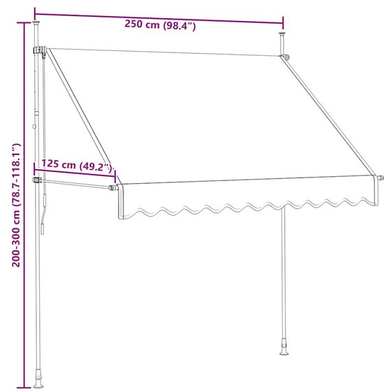 vidaXL Auvent extensible manuellement 250 cm anthracite