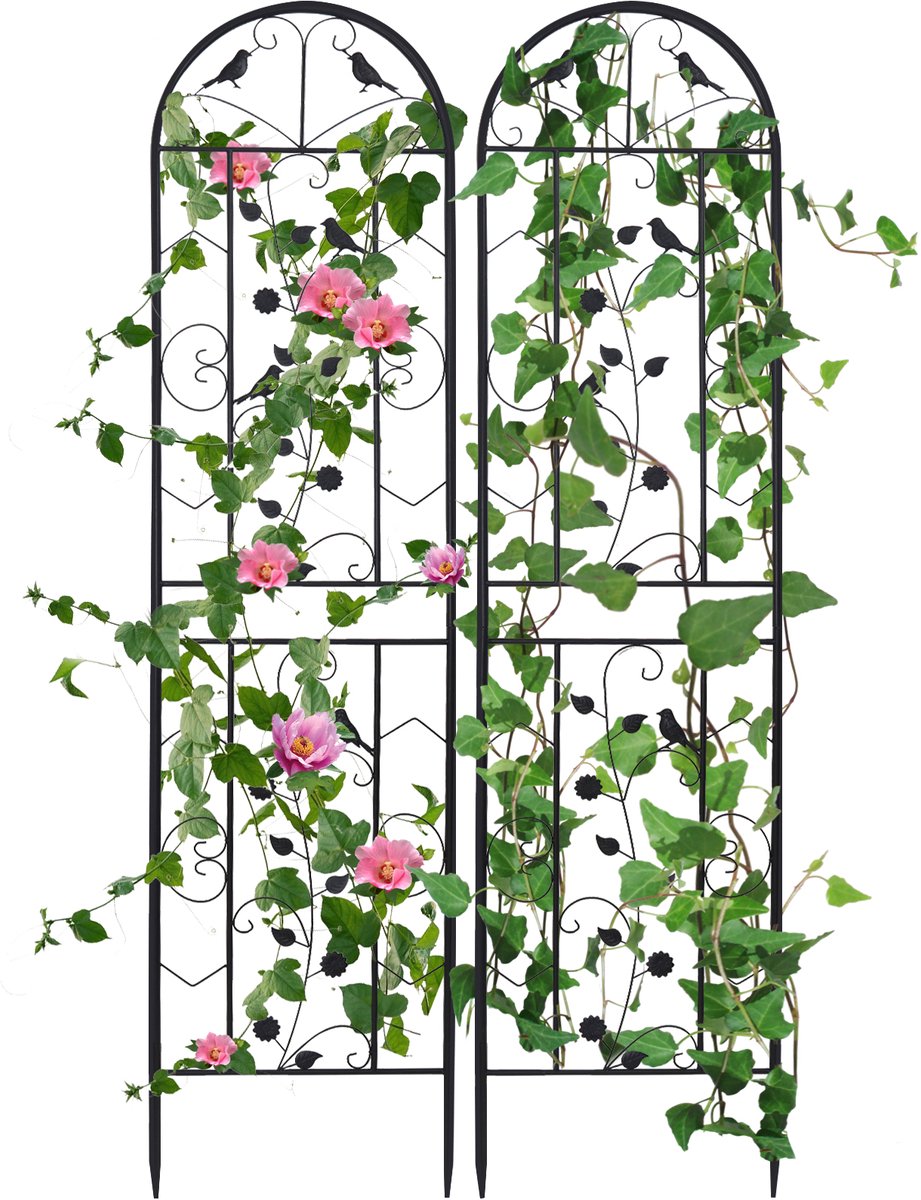 unho Klimrek 2-delige set metaal 210 x 50 cm, roestvrij Klimhulp Tuin Spalier Klimhek Klimplanten Tuindecoratie Rozenrek Plantenrek Tuin Zwart