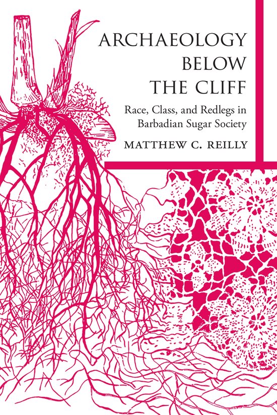 Caribbean Archaeology and Ethnohistory - Archaeology below t ... - cover