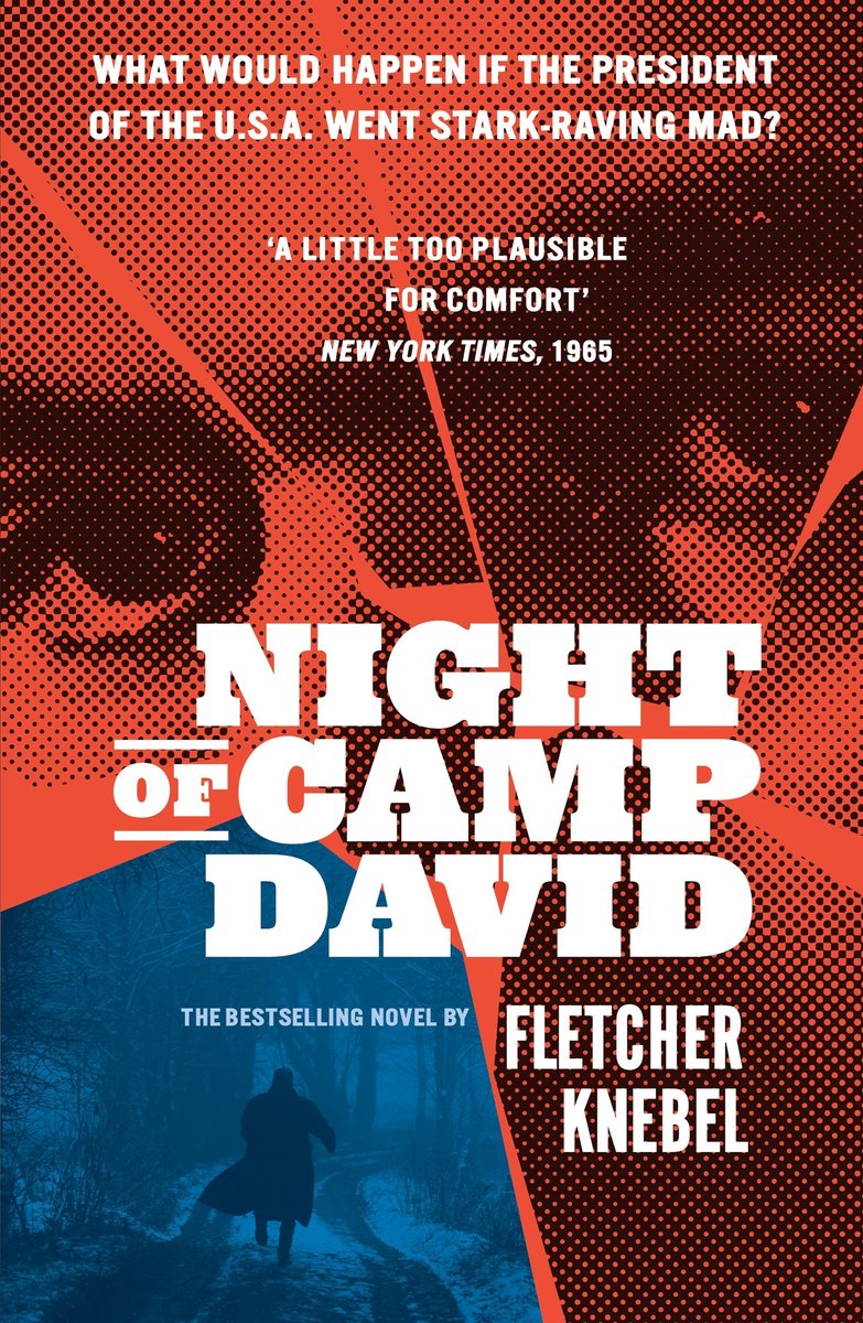 Omslag van Night of Camp David