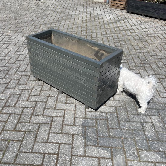 AMISHOUT - Jardinière haute en bois 100x40x54 cm - anthracite - jardinière d'extérieur