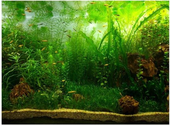 Stijlvol PVC Achtergrond Sticker