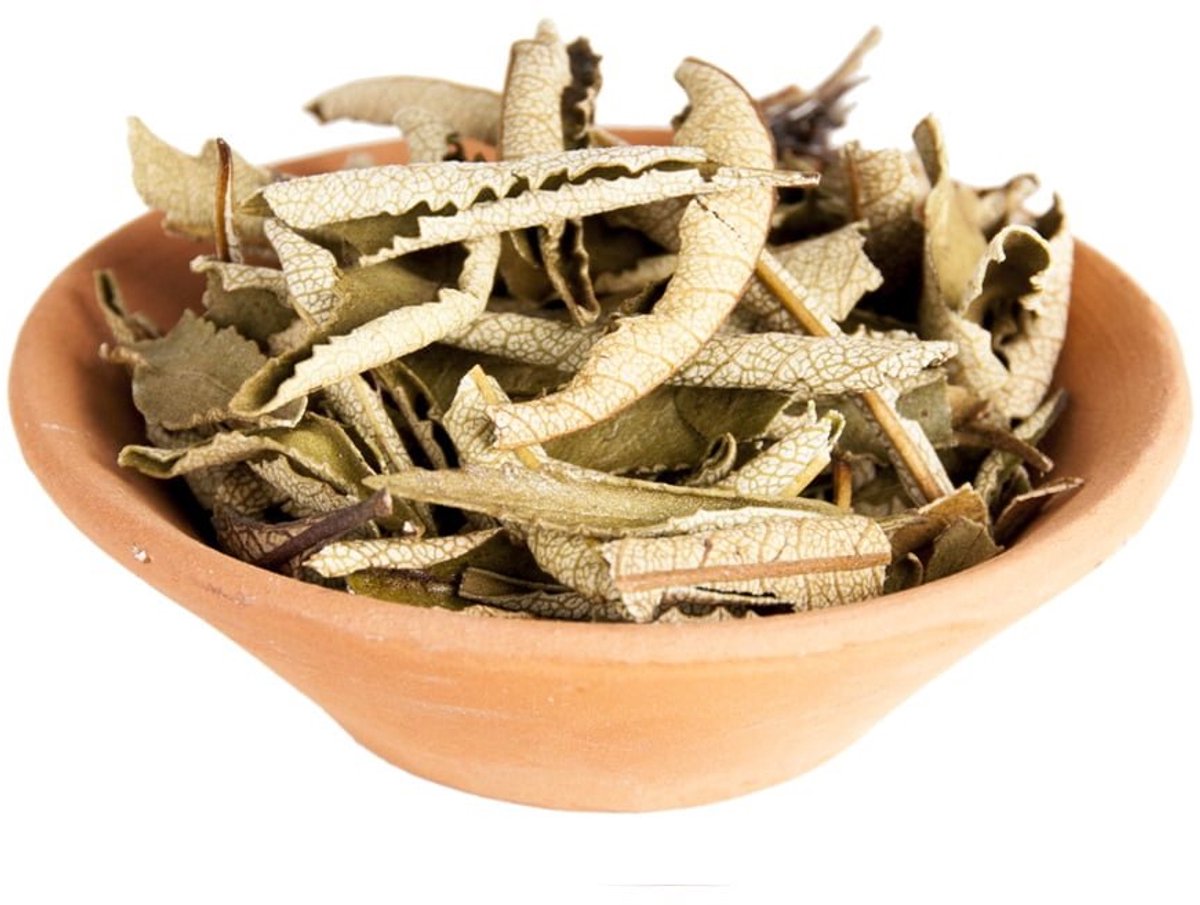 Yerba Santa