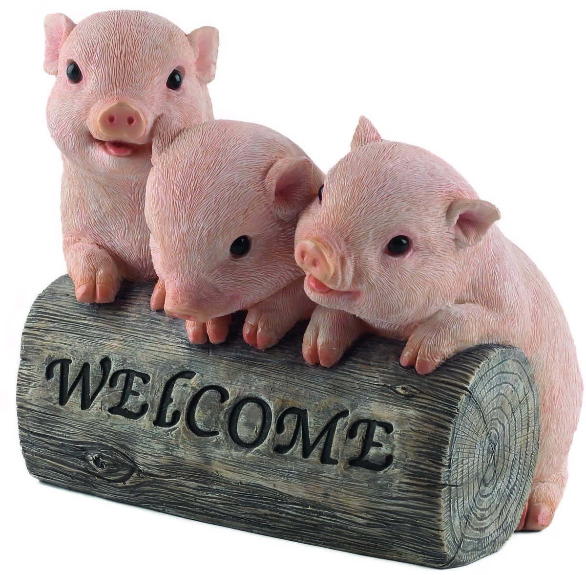 Welkom varkens