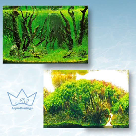 Prachtige aquascaping aquarium rotsen / aquarium stenen