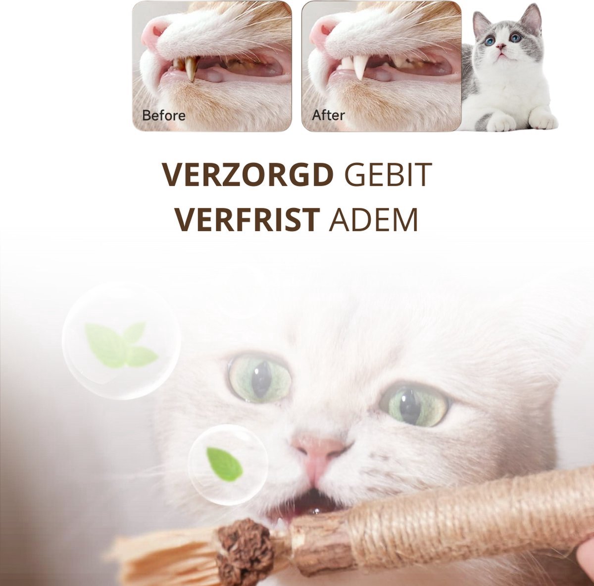 Twenty4seven® Matatabi Stokjes voor Katten - 10 Stuks - Silvervine Kauwstokjes met Kattenkruid - 100% Natuurlijk en Eetbaar Kattenspeelgoed - Catnip Effect thumbnail 4