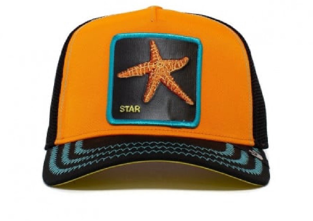 Goorin Bros trucker baby i'm a star cap, Orange