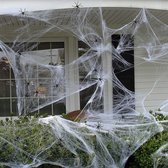 Nep Spinnenweb - 12m2 - Incl. 6 Spinnen - Horror Decoratie