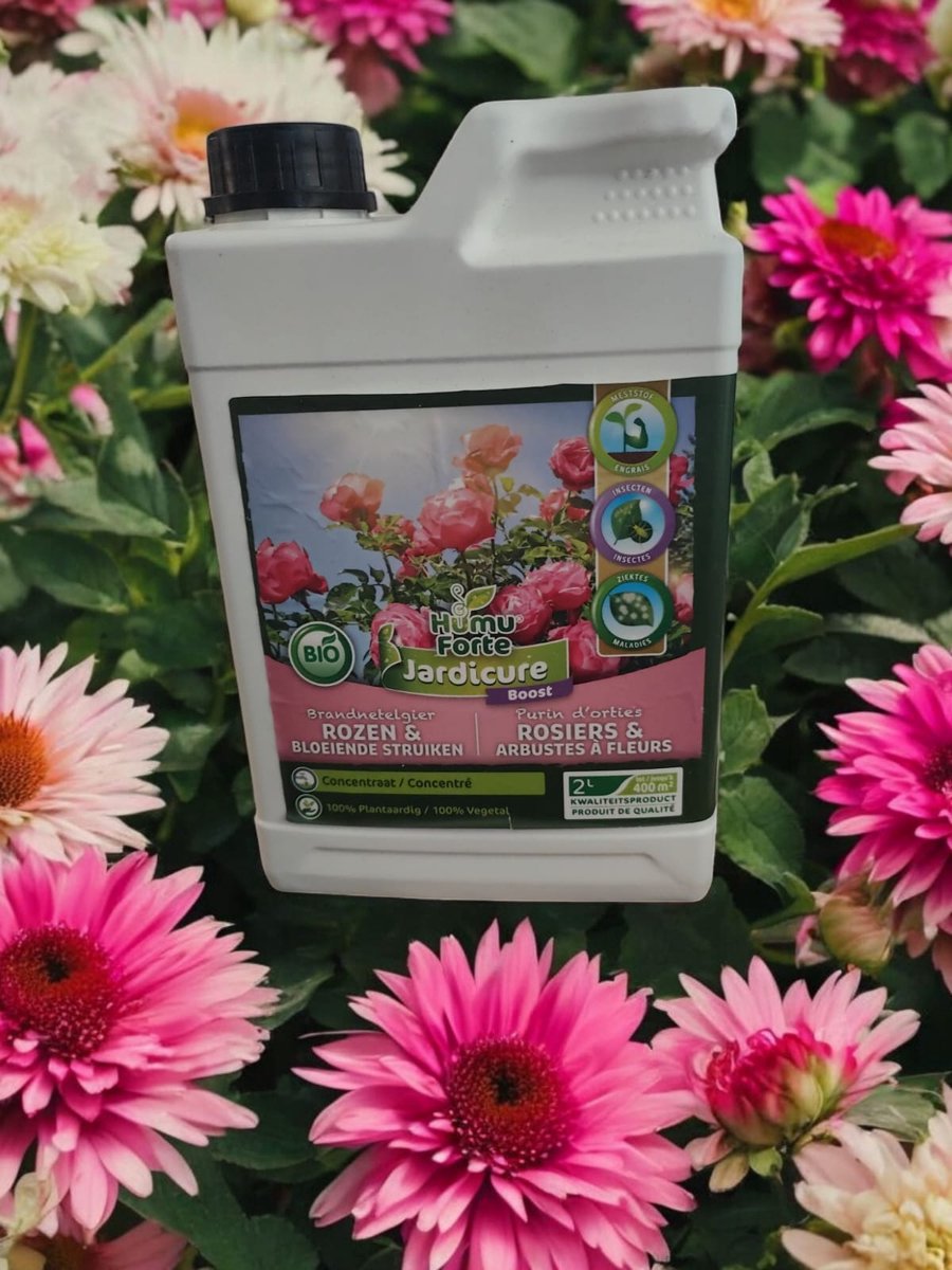 brandnetelgier rozen en bloeiende struiken 2 liter
