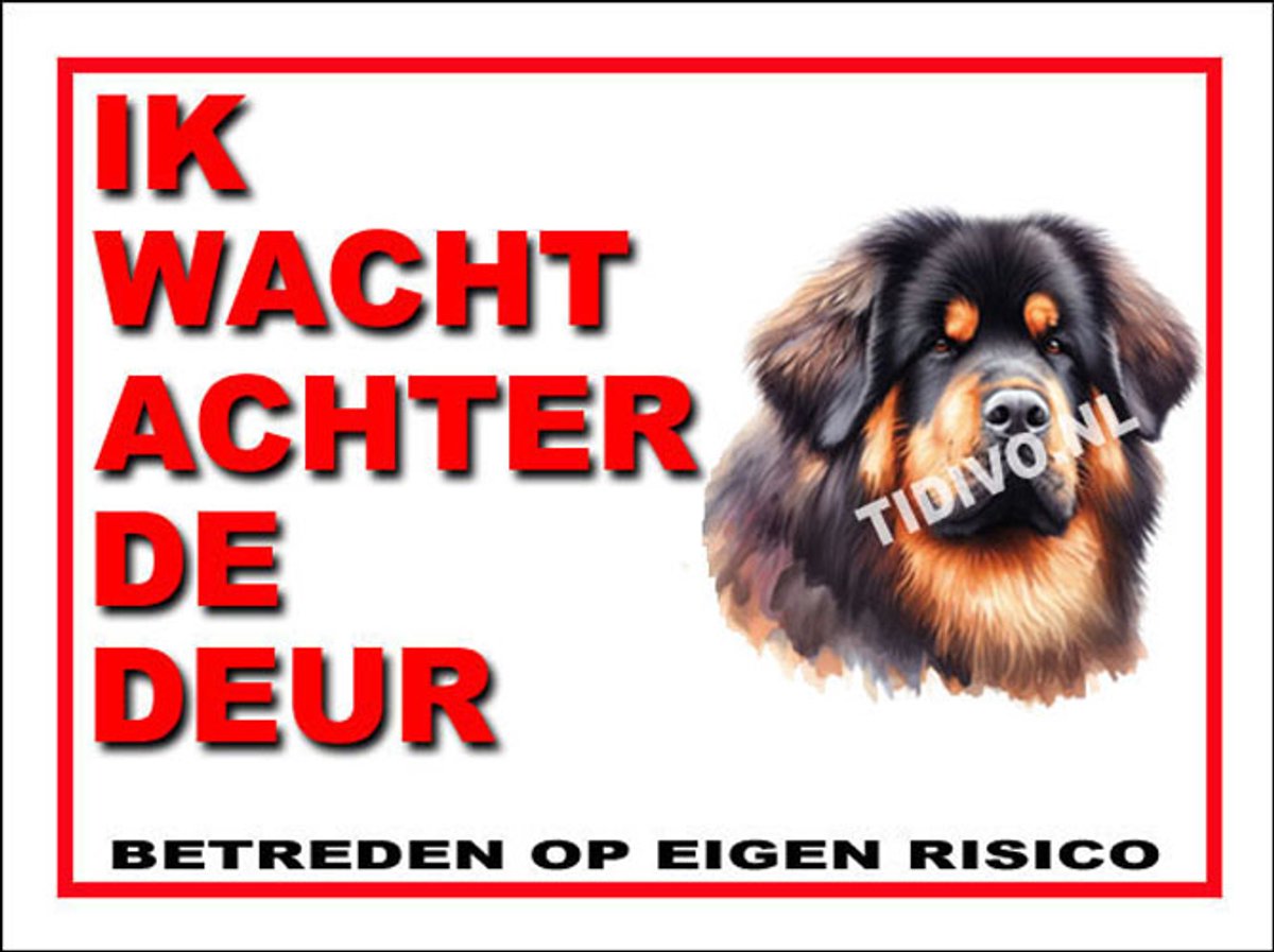 Tibetaanse Mastiff 10
