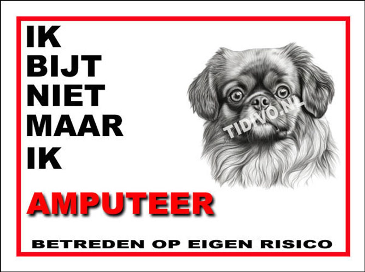 Tibetaanse Spaniel 5
