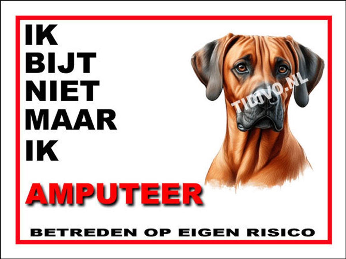 Weimaraner Rhodesian Ridgeback 5