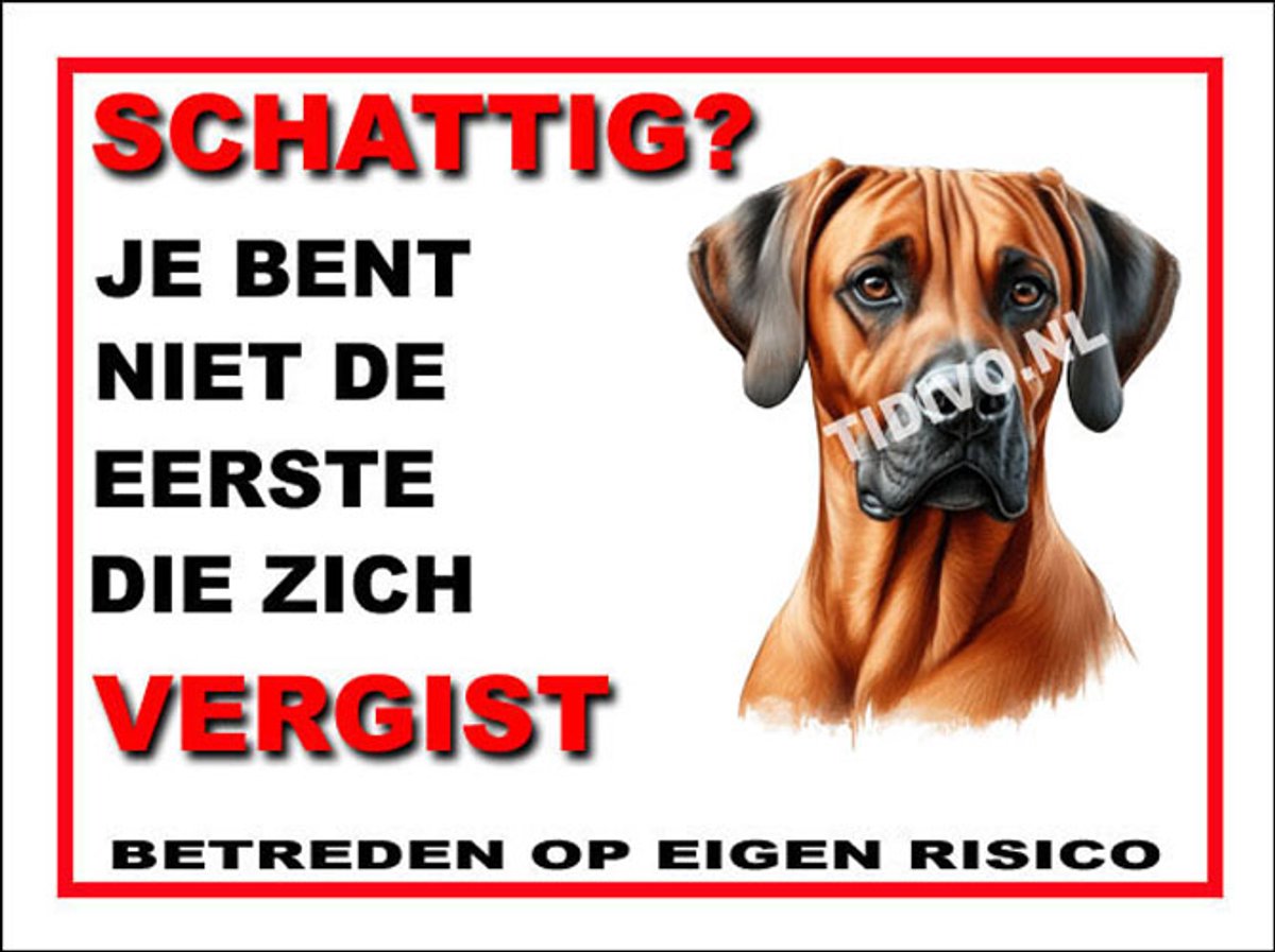 Weimaraner Rhodesian Ridgeback 14