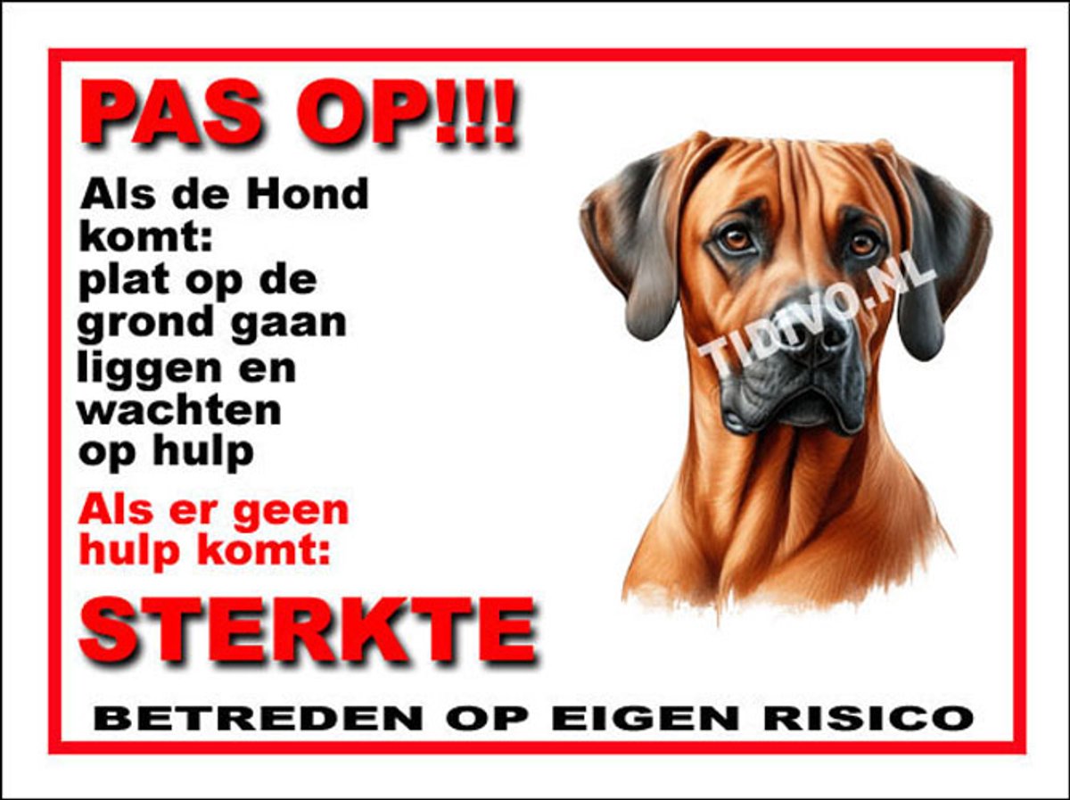 Weimaraner Rhodesian Ridgeback 12