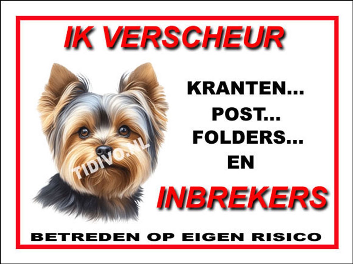Yorkshire Terrier 8
