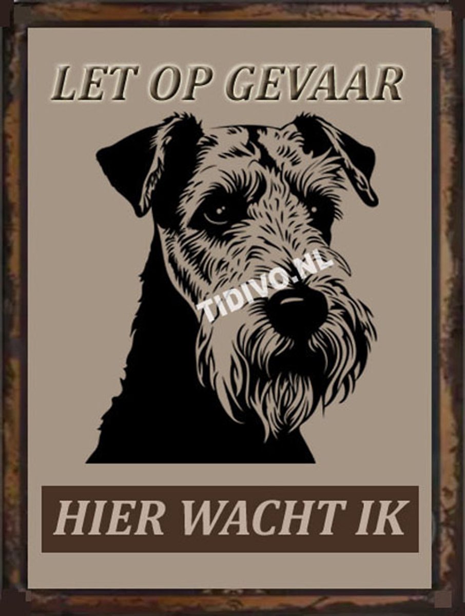Welsh Terrier 18