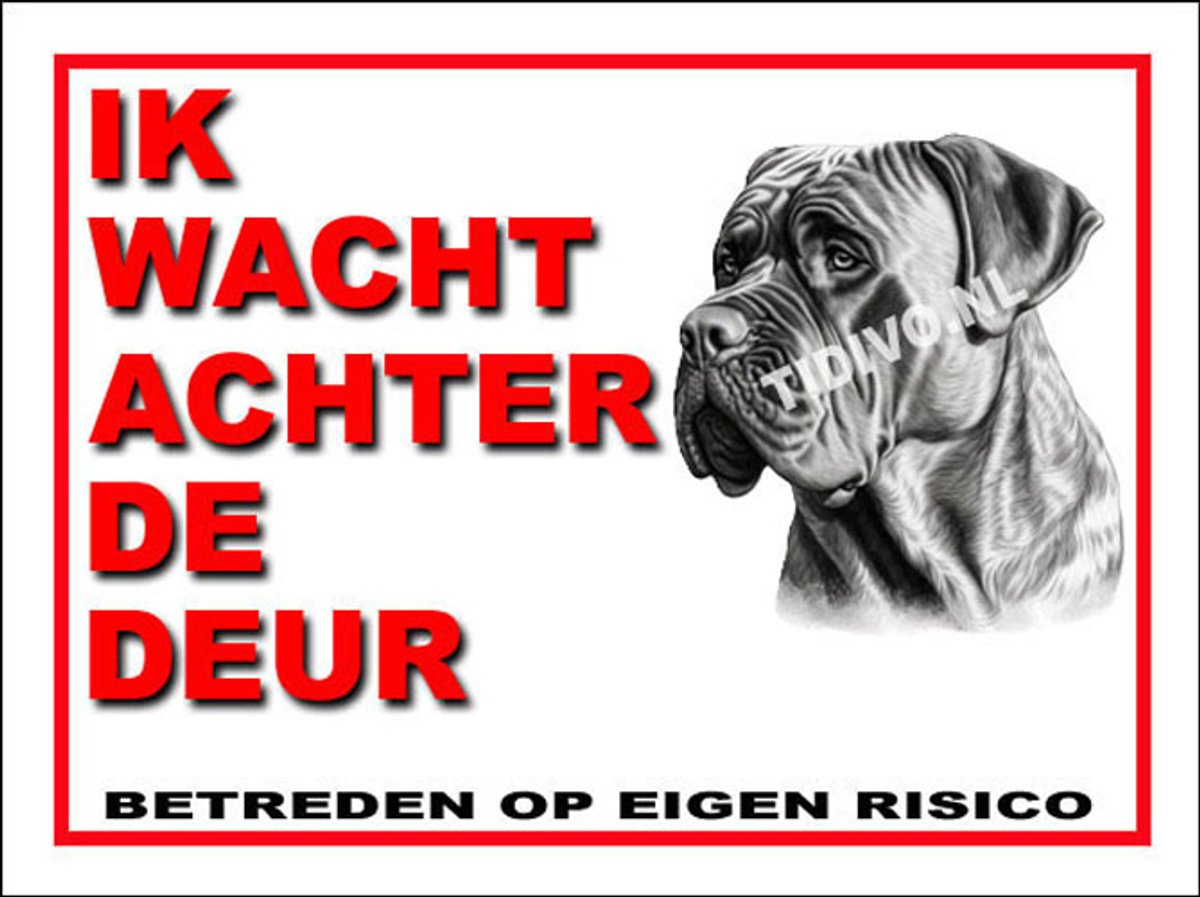 Boerboel 10
