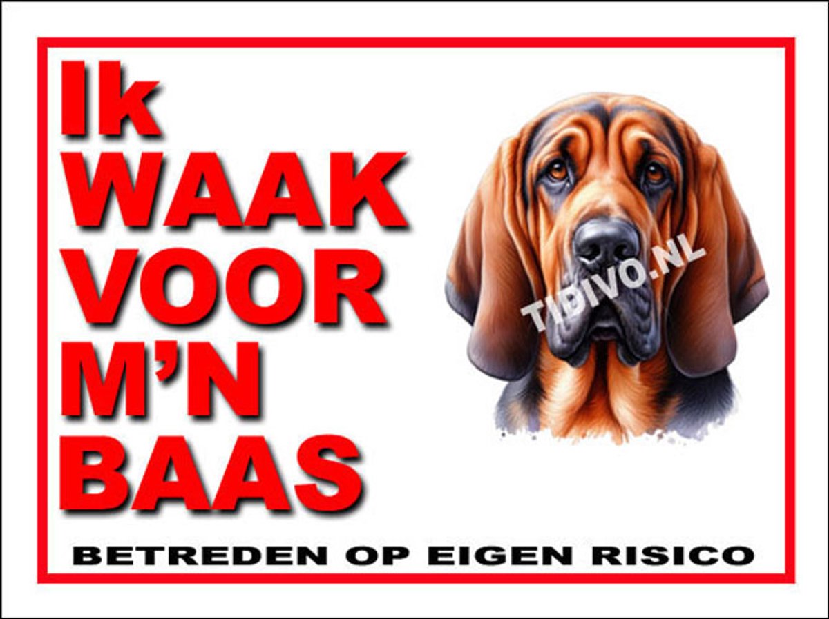 Bloedhond 9