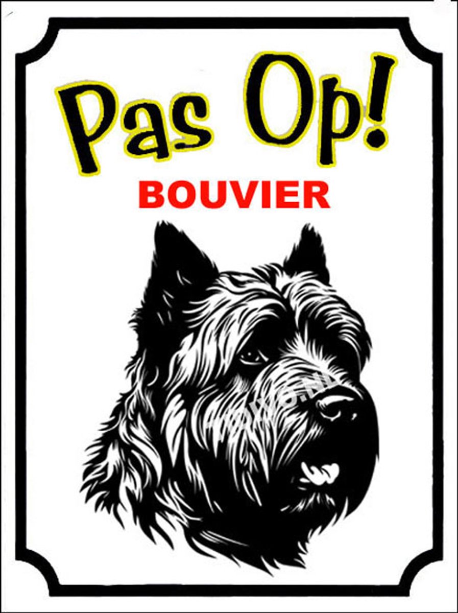 Bouvier 16