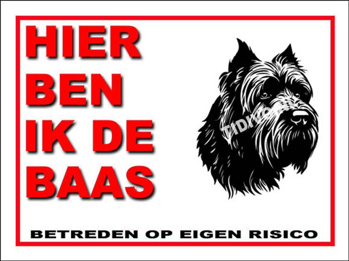 Bouvier 2