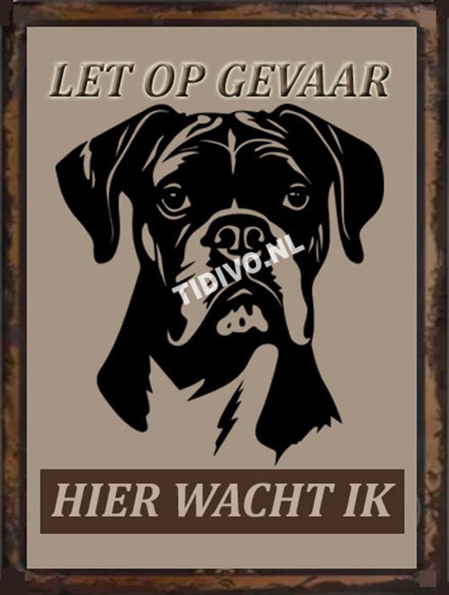 Boxer 18
