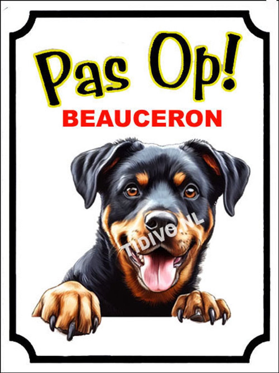 Beauceron 16