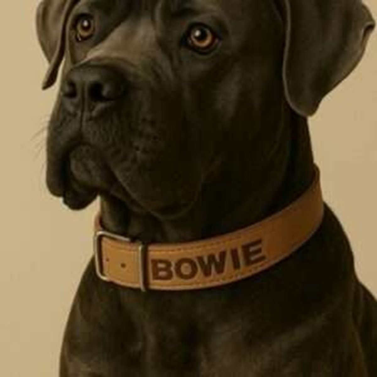 Gepersonaliseerde naturel softleren hondenhalsband- 30mmx65cm-Animal King