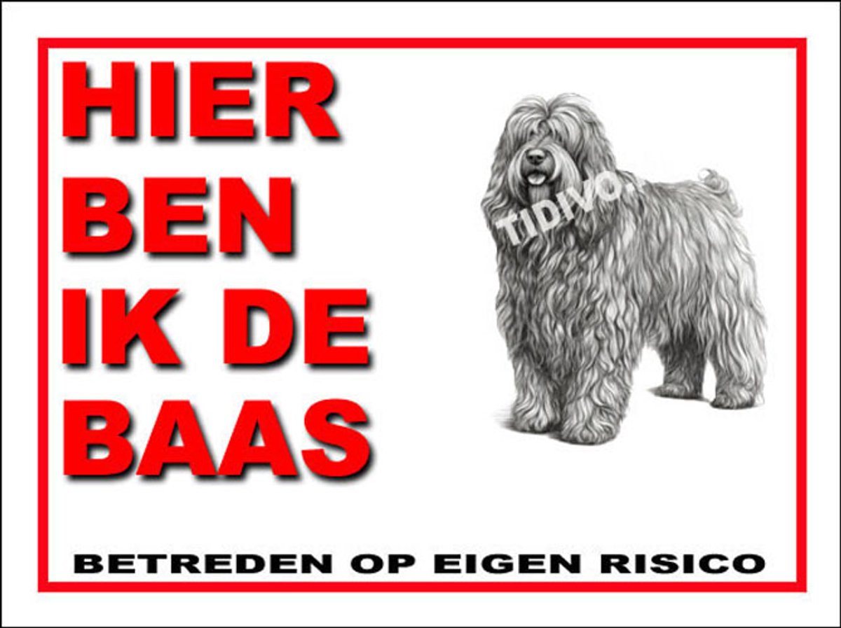 Bergamasco 2