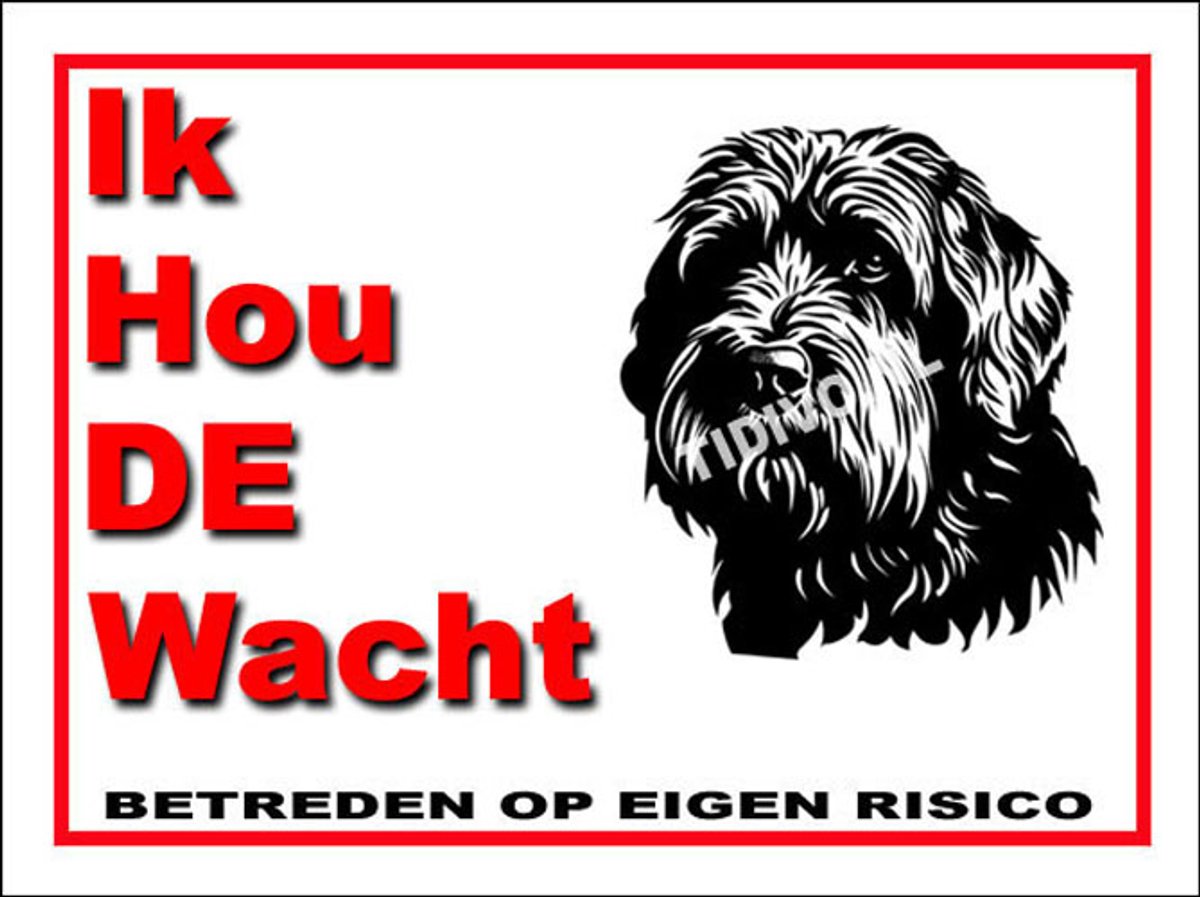 Black Russian Terrier 9