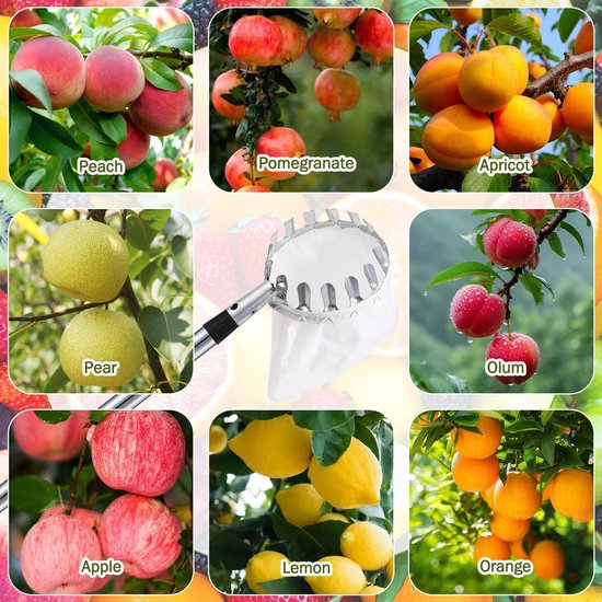 Fruitplukker - fruitplukker met steel - 2M Fruitplukker met telescopische steel -diameter 16 cm Fruitplukker - Met opbergtas -kersen met katoenen tas- Pruimenplukker met telescopische steel- Geschikt voor thuis, boomgaard- tuin- fruitplukker van Merkloos	 — afbeelding 5