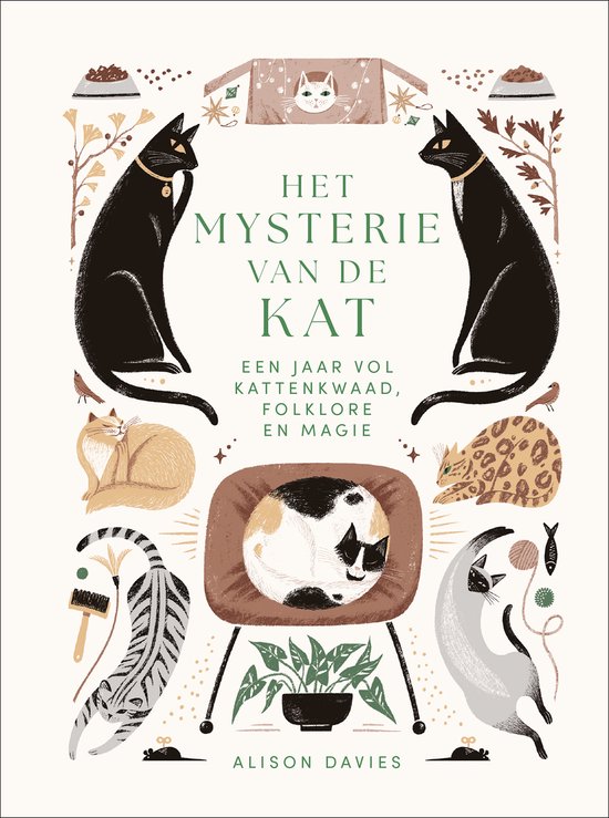 Het mysterie van de kat - cover