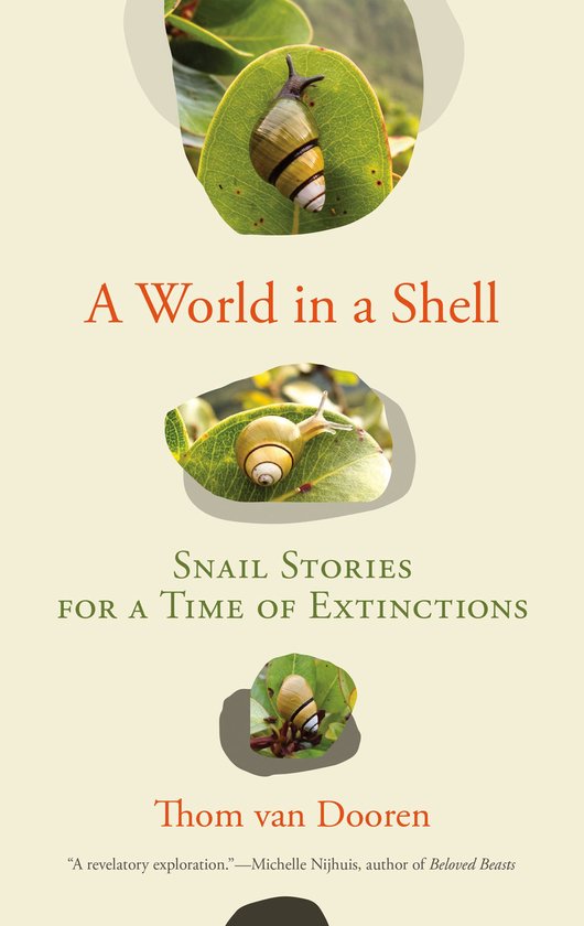 A World in a Shell - cover