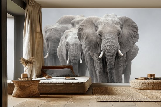 Naadloos behang Fotobehang - Majestic Elephant Herd in Motion - 250x300 centimeter