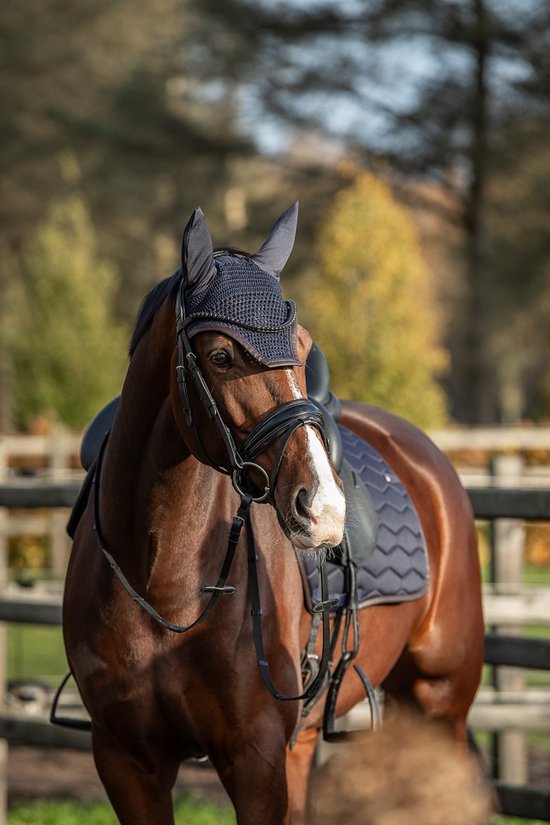 Bruine paard met donkerblauwe oornetje met bijpassende deken.