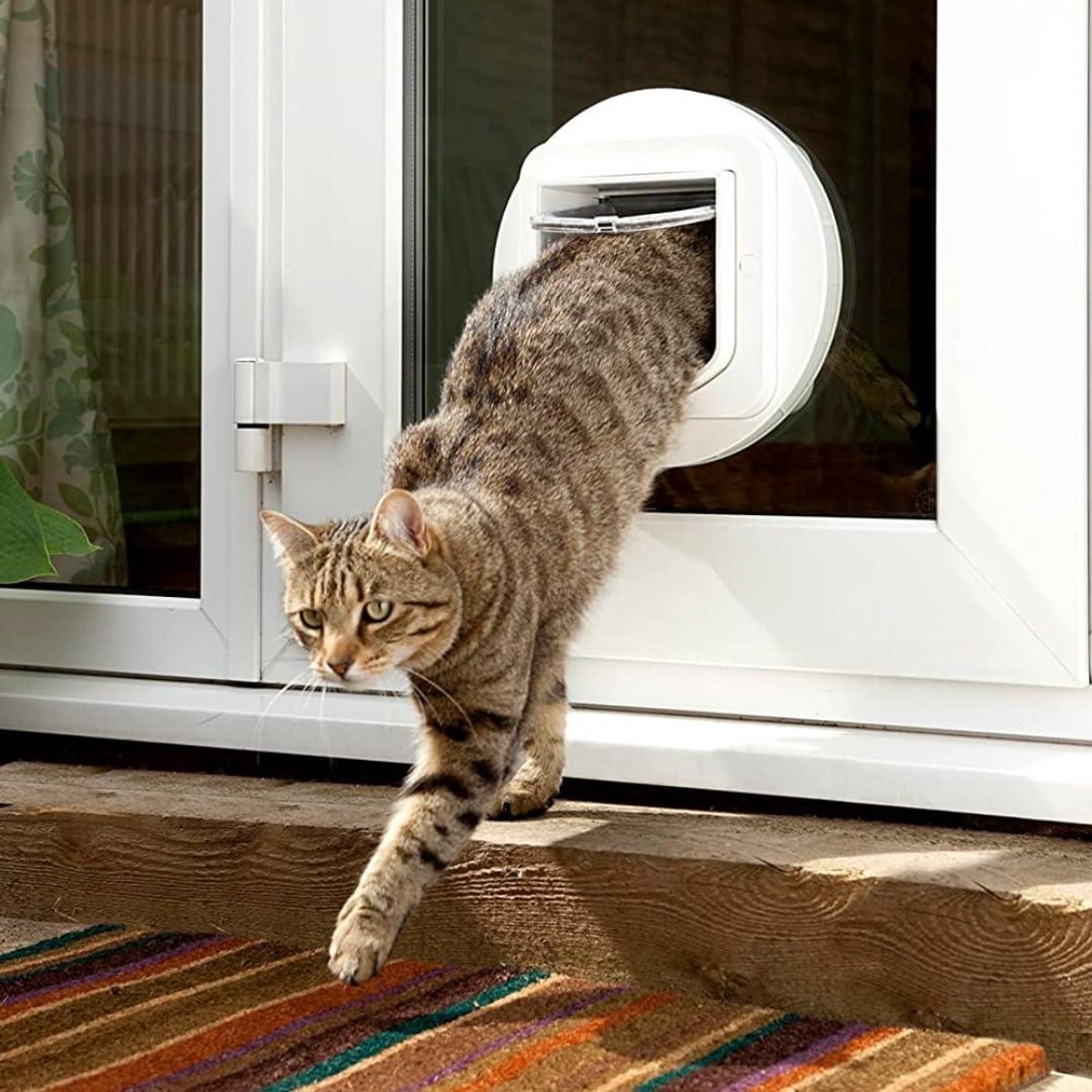 Cat Kattenluik met Microchip en RFID thumbnail 6
