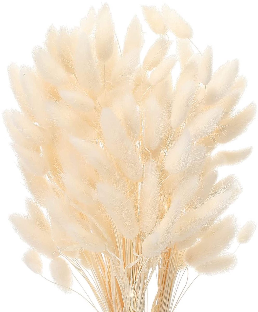 Ibenzoa 50 Pluizige Pampasgras Stokjes voor Boho Slaapkamer- en Badkamerdecoratie, Tafeldecoratie in Wit