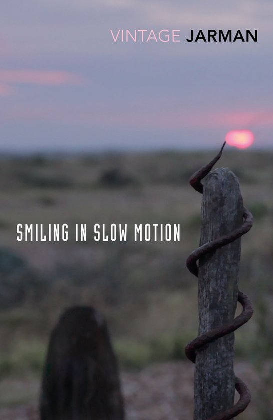 The Journals of Derek Jarman 2 - Smiling in Slow Motion
