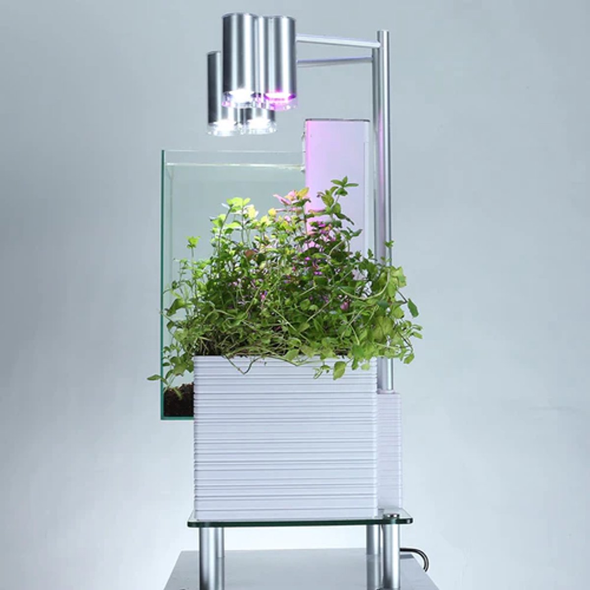 aquarium design aquarium brio Aquaponics WIT INCL meubel complete set thumbnail 2