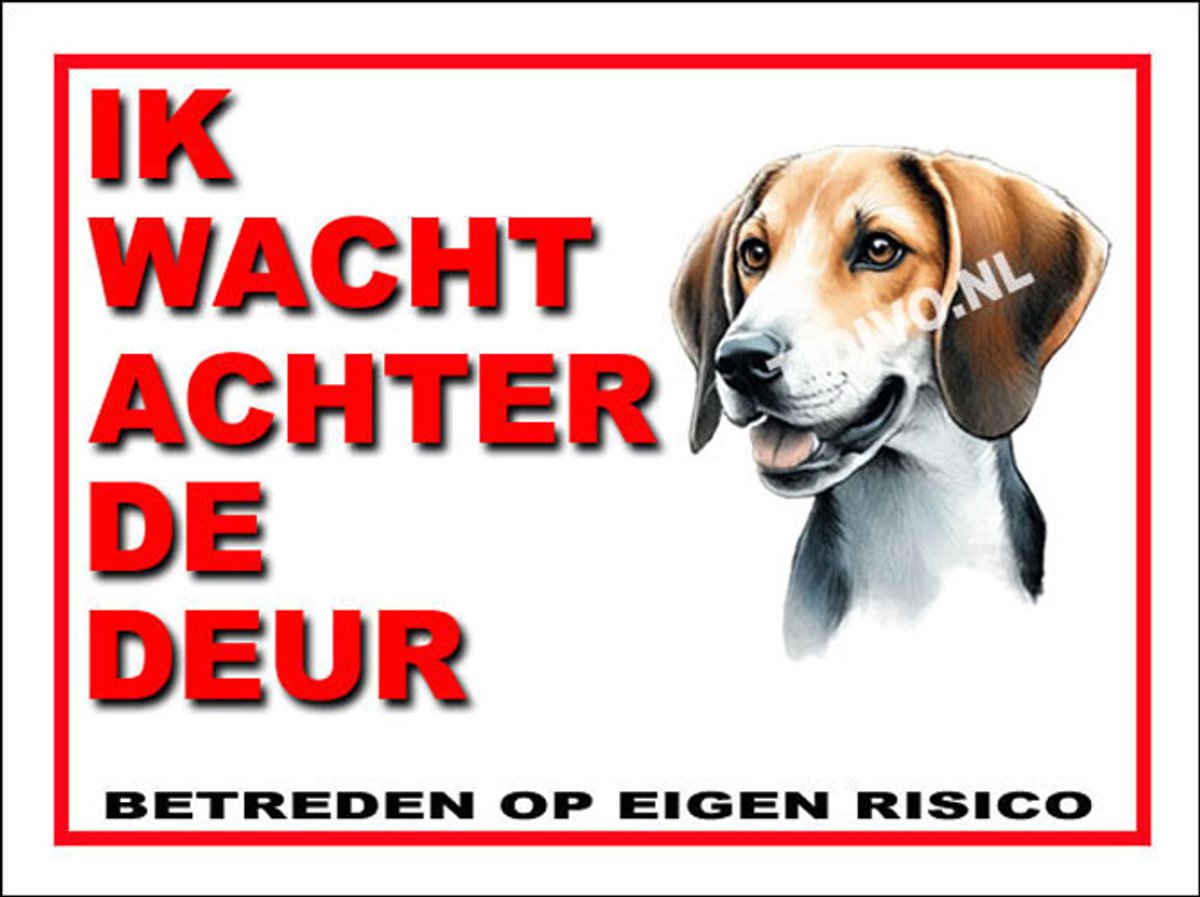 Fox Terrier 10