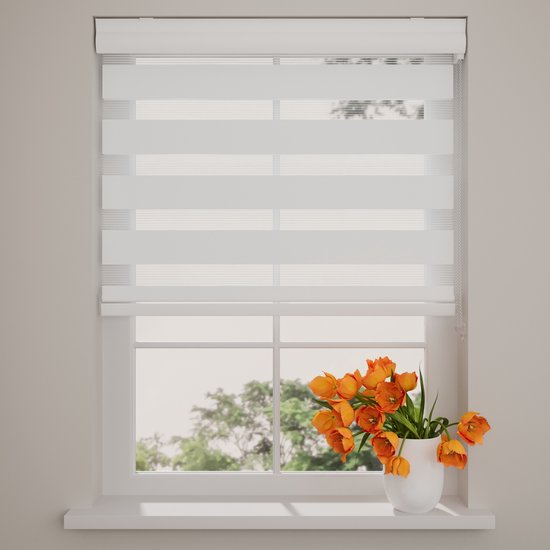 Store Duo Roller Splendid Blanc Translucide 180 x 240 cm