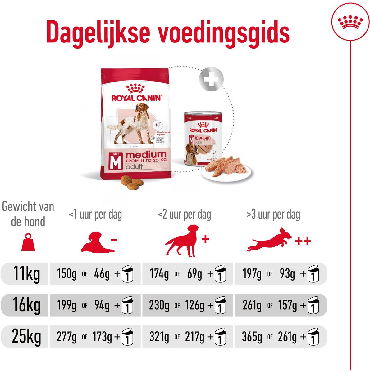 Royal Canin Medium Adult - Voer voor middelgrote gezonde honden thumbnail 7
