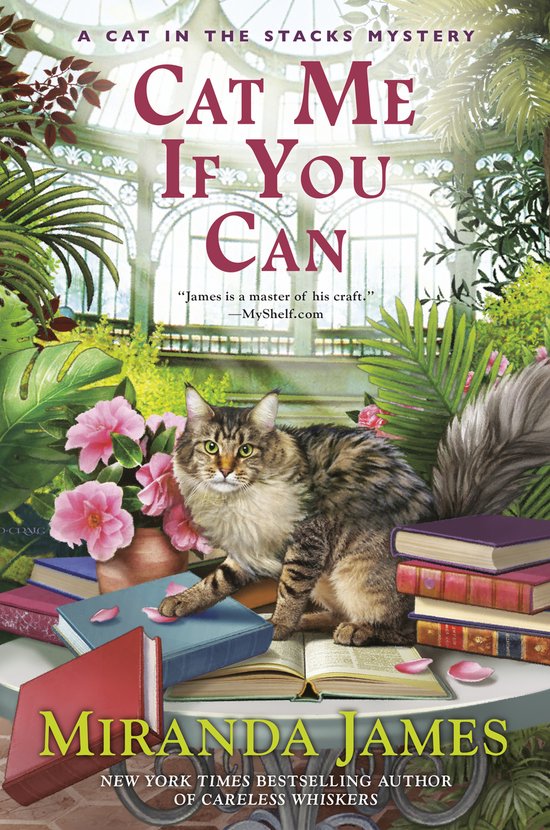 Cat Me If You Can