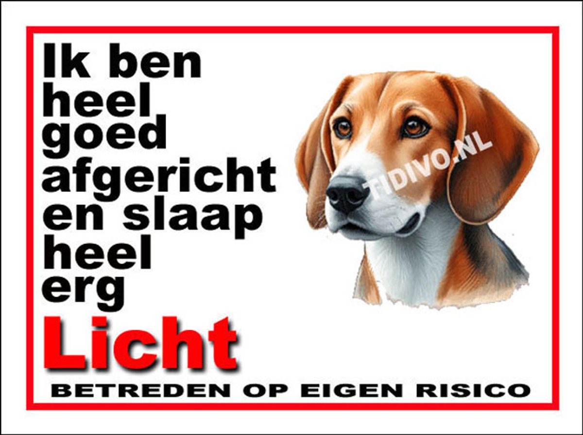 Engelse Foxhound 4