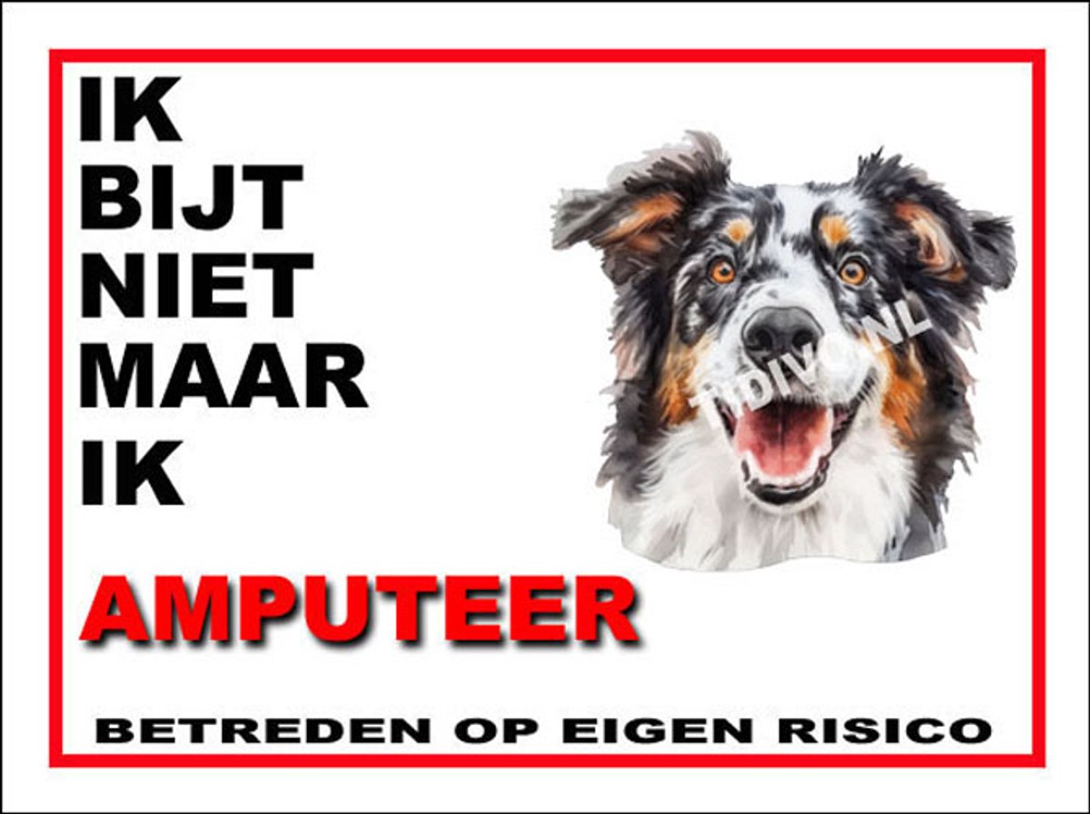 Engelse Shepherd 5