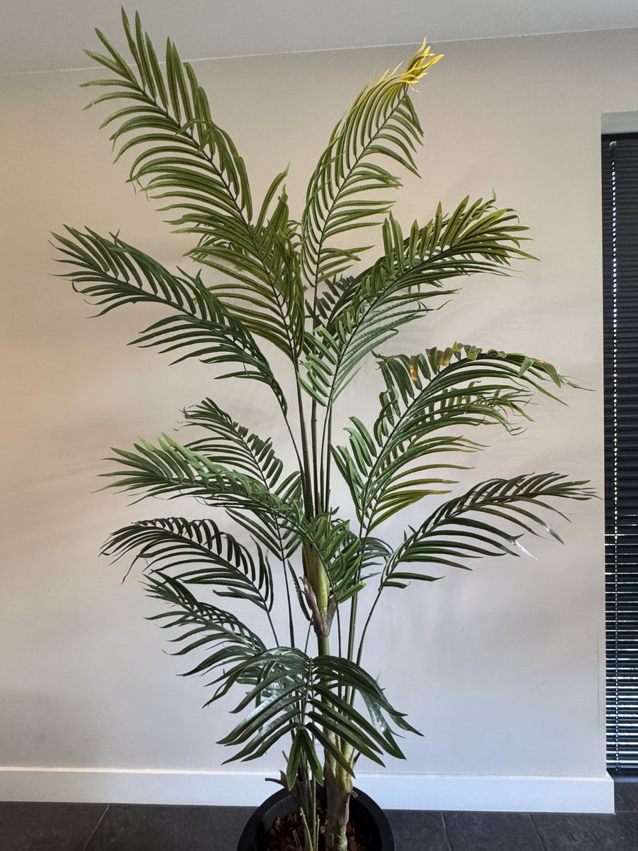 Zijden Palmboom – Kunstplant – 220 cm – Tropisch – Onderhoudsvrij