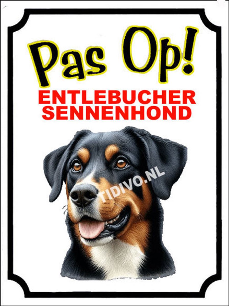 Entlebucher Sennenhond 16